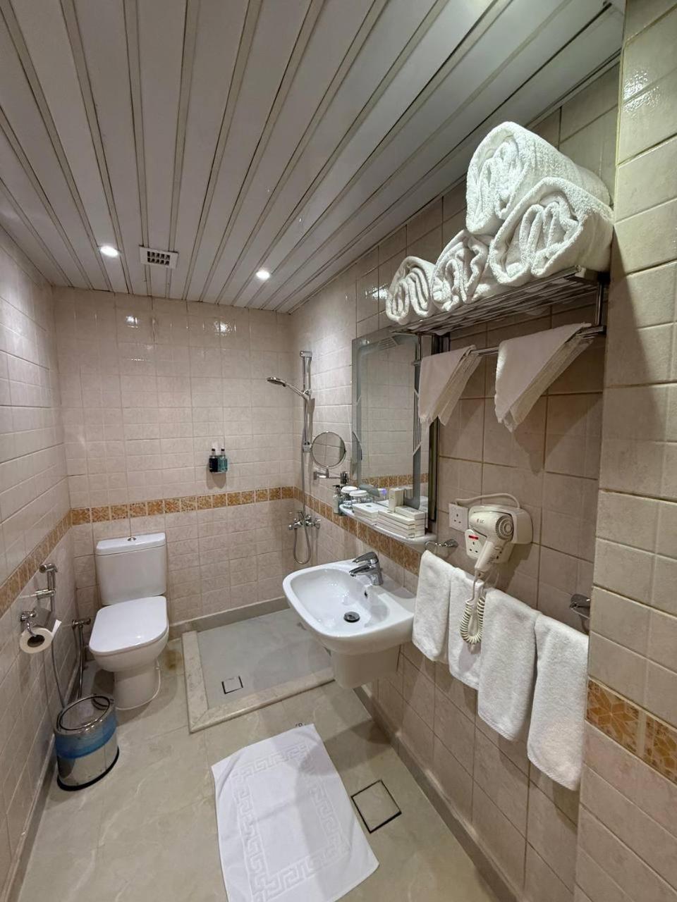 Dar Al-Naeem washroom